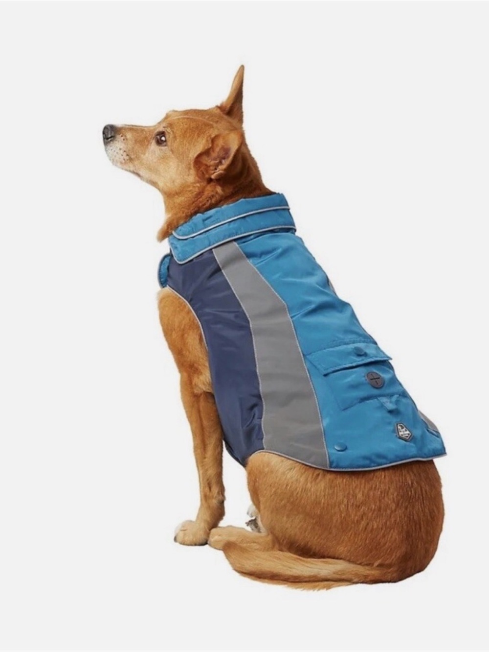 Arcadia Trail 3 in 1 Reflective Dog Rain Coat Size Medium